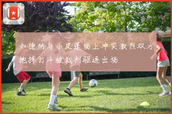 加德纳与小皮蓬场上冲突激烈双方抱摔打斗被裁判驱逐出场