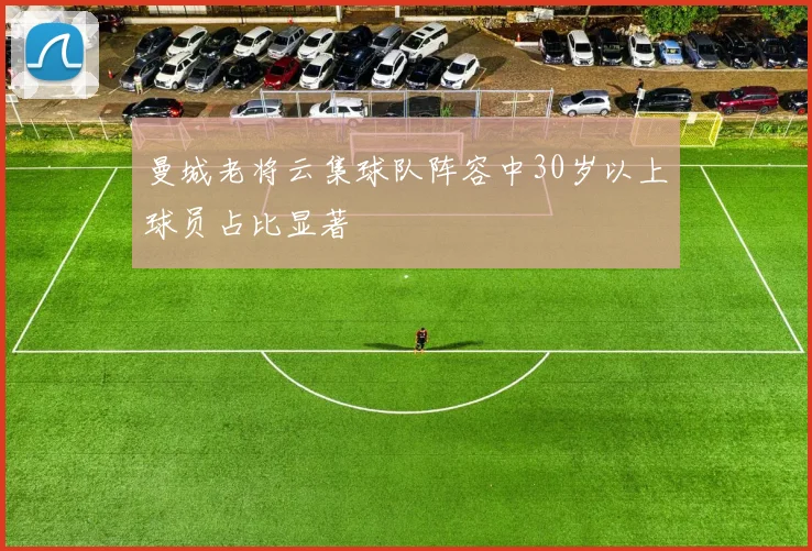 曼城老将云集球队阵容中30岁以上球员占比显著